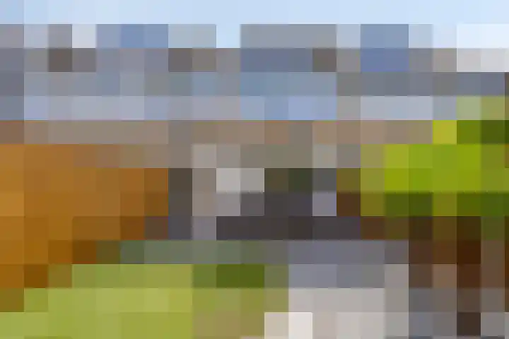Joos Banckertstraat 14 Best thumbnail 29