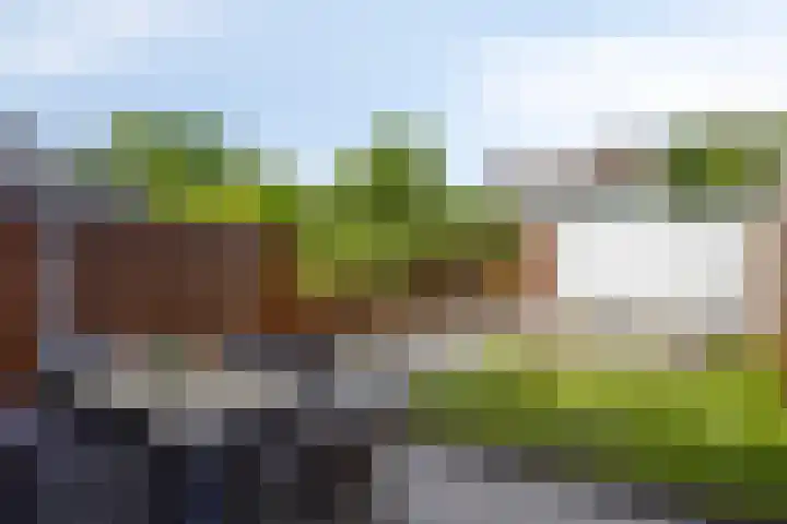 Joos Banckertstraat 14 Best thumbnail 30