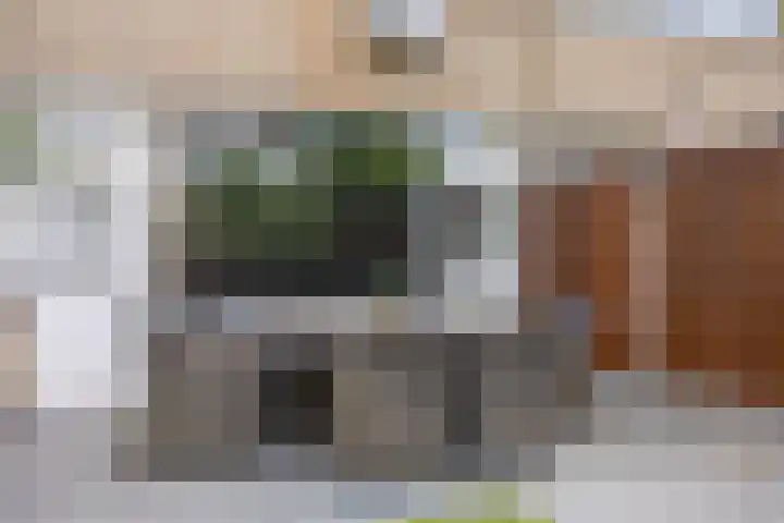 Joos Banckertstraat 14 Best thumbnail 31