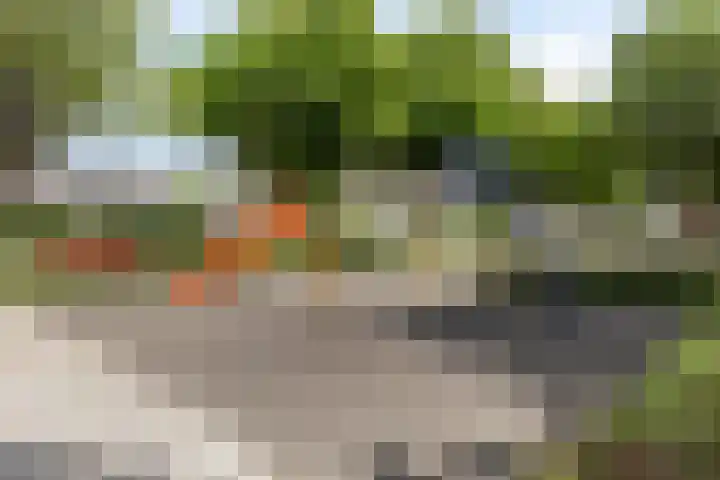 Joos Banckertstraat 14 Best thumbnail 34