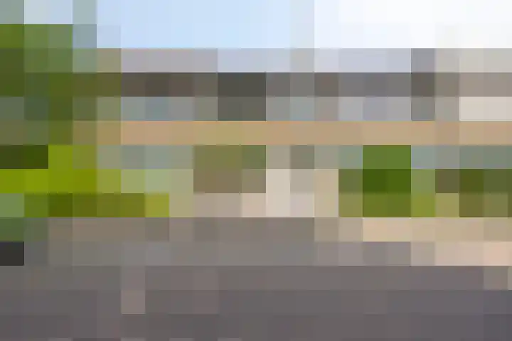 Joos Banckertstraat 14 Best thumbnail 38