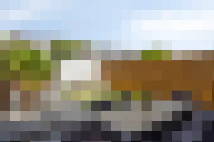 Joos Banckertstraat 14 Best thumbnail 5