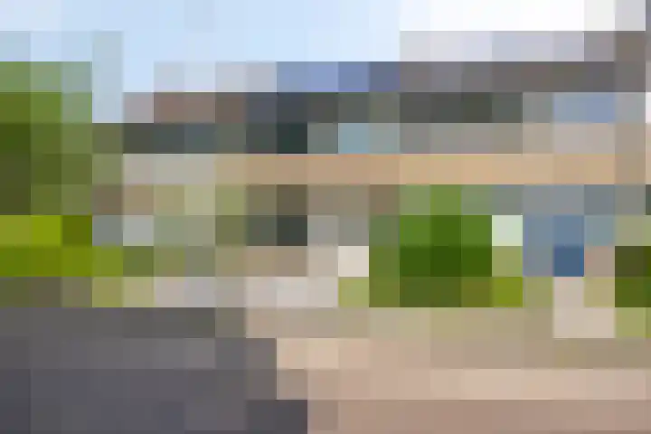 Joos Banckertstraat 14 Best thumbnail 6