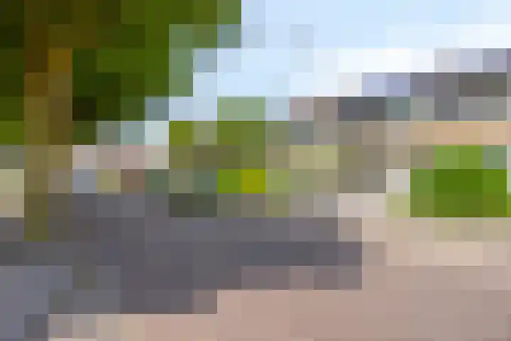 Joos Banckertstraat 14 Best thumbnail 7