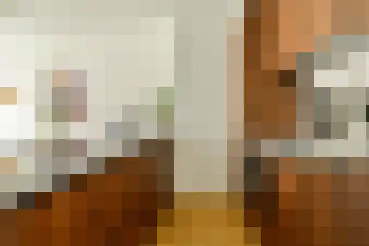 Joos de Moorstraat 10 2 Amsterdam thumbnail 11