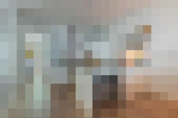 Joos de Moorstraat 21 1 Amsterdam thumbnail 14