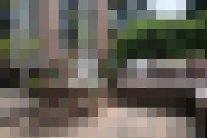 Joos de Moorstraat 21 1 Amsterdam thumbnail 19
