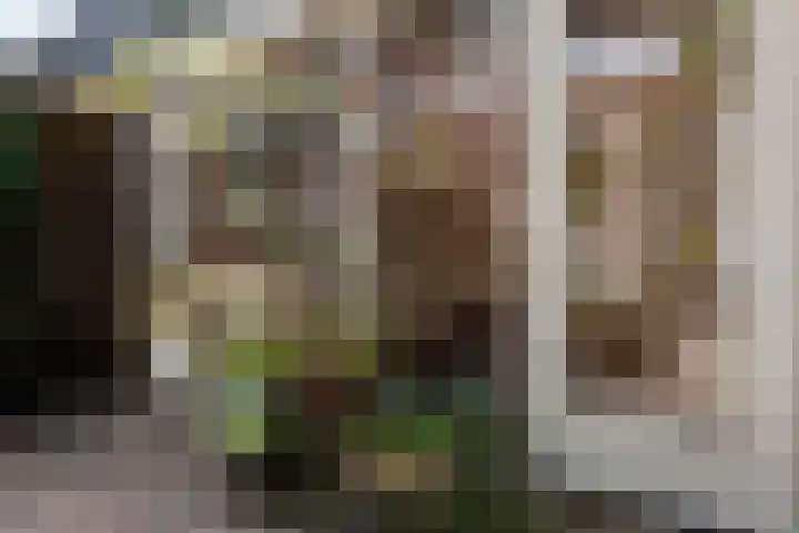 Joos de Moorstraat 21 1 Amsterdam thumbnail 24