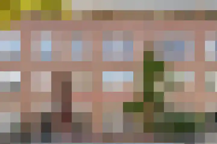 Joos de Moorstraat 21 1 Amsterdam thumbnail 6