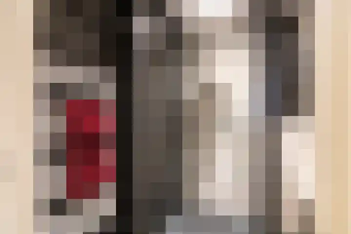 Joos de Moorstraat 23 1 Amsterdam thumbnail 20