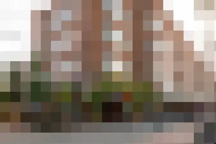 Joos de Moorstraat 23 1 Amsterdam thumbnail 29