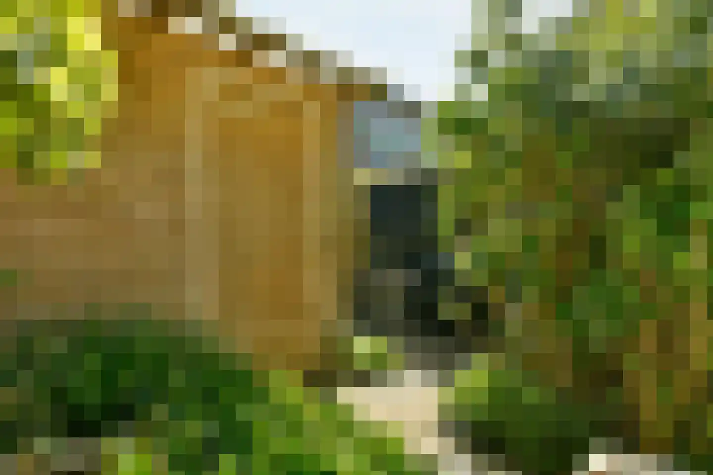 Joos de Moorstraat 24 1 Amsterdam thumbnail 10
