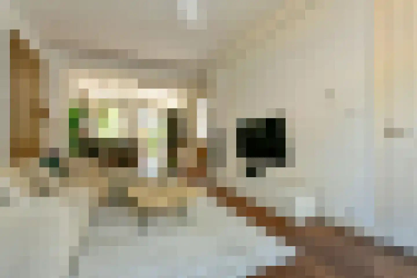 Joos de Moorstraat 24 1 Amsterdam thumbnail 14