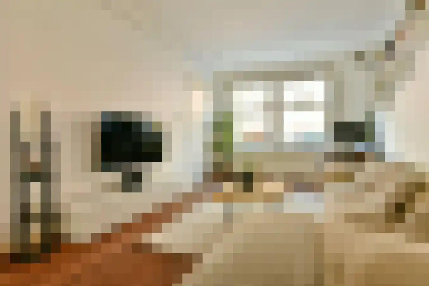 Joos de Moorstraat 24 1 Amsterdam thumbnail 4