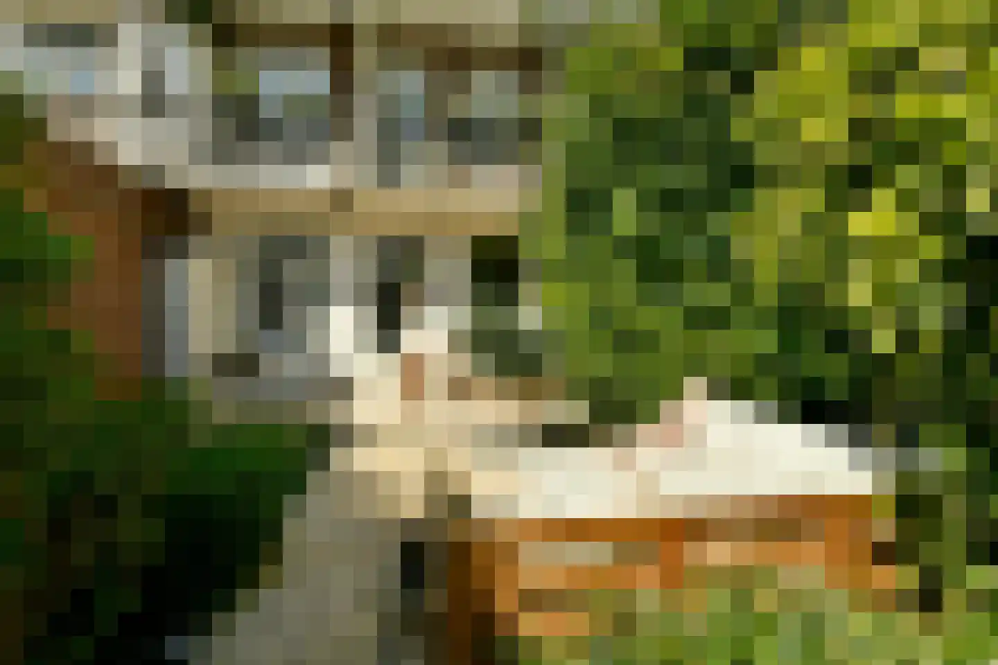 Joos de Moorstraat 24 1 Amsterdam thumbnail 9