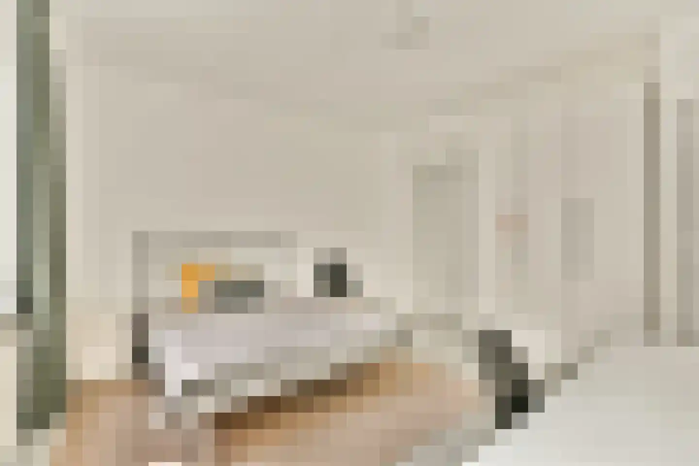 Joos de Moorstraat 25 3 Amsterdam thumbnail 16