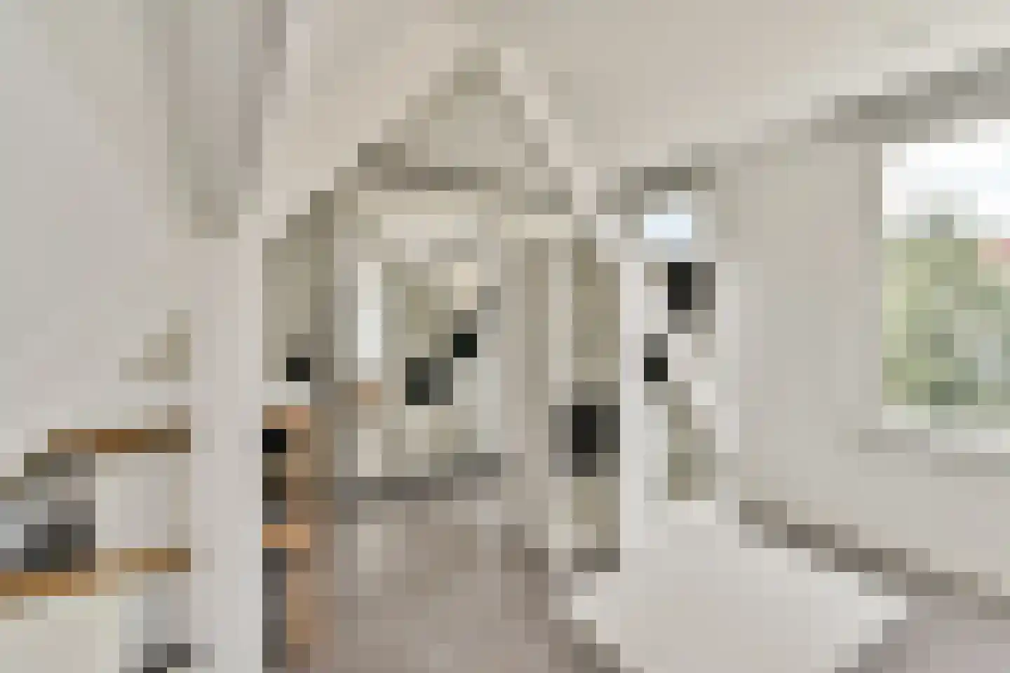 Joos de Moorstraat 25 3 Amsterdam thumbnail 18