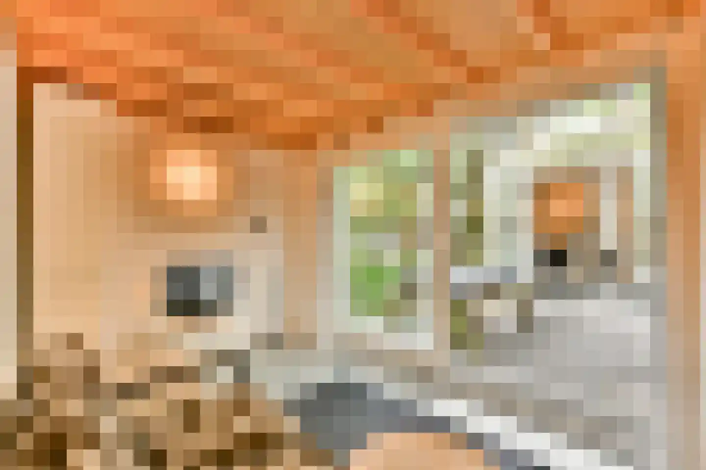 Joos de Moorstraat 25 3 Amsterdam thumbnail 23
