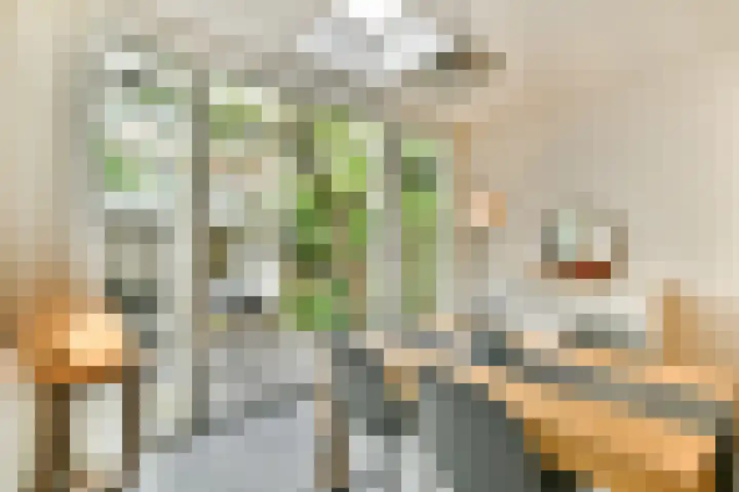 Joos de Moorstraat 25 3 Amsterdam thumbnail 7