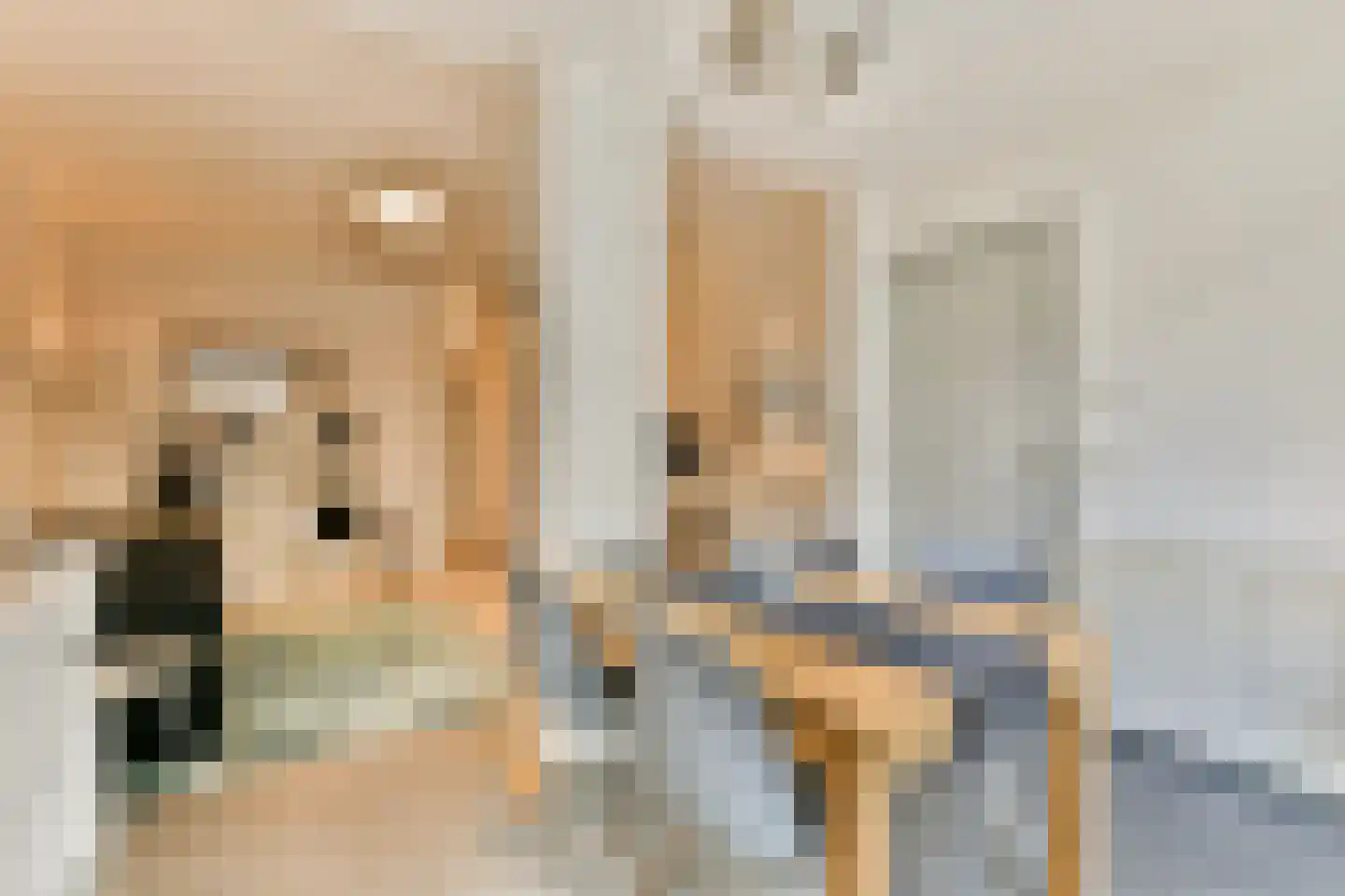 Joos de Moorstraat 25 3 Amsterdam thumbnail 8