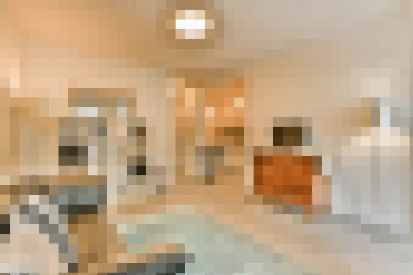 Joos de Moorstraat 25 3 Amsterdam thumbnail 9