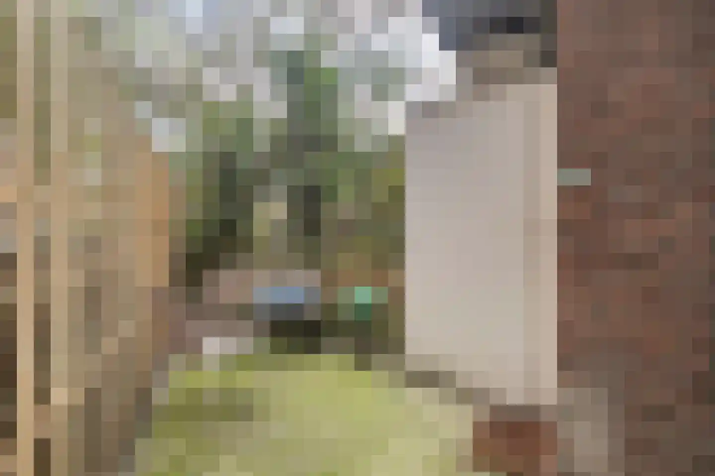 Joos de Moorstraat 28 2 Amsterdam thumbnail 4