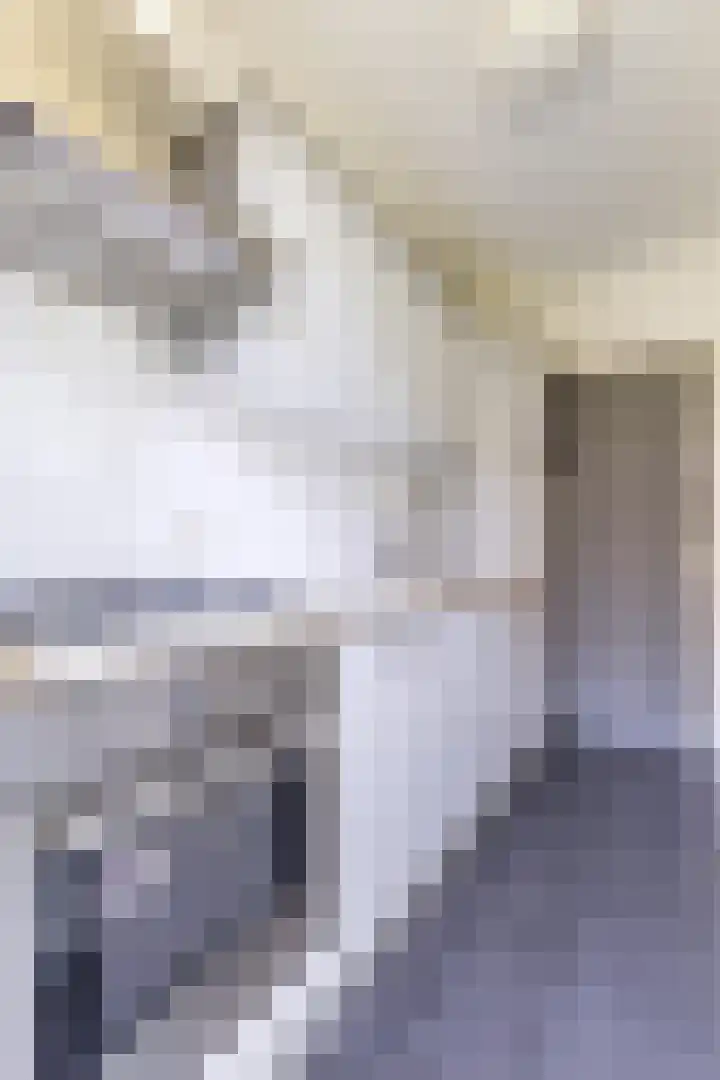 Joos de Moorstraat 29 1 Amsterdam thumbnail 13