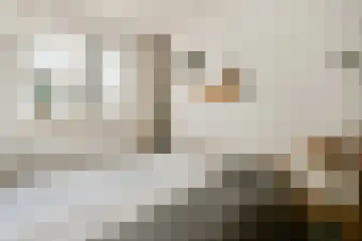 Joos de Moorstraat 7 H Amsterdam thumbnail 28