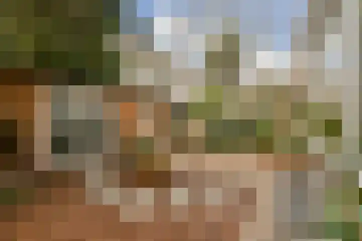 Joos de Moorstraat 7 H Amsterdam thumbnail 40