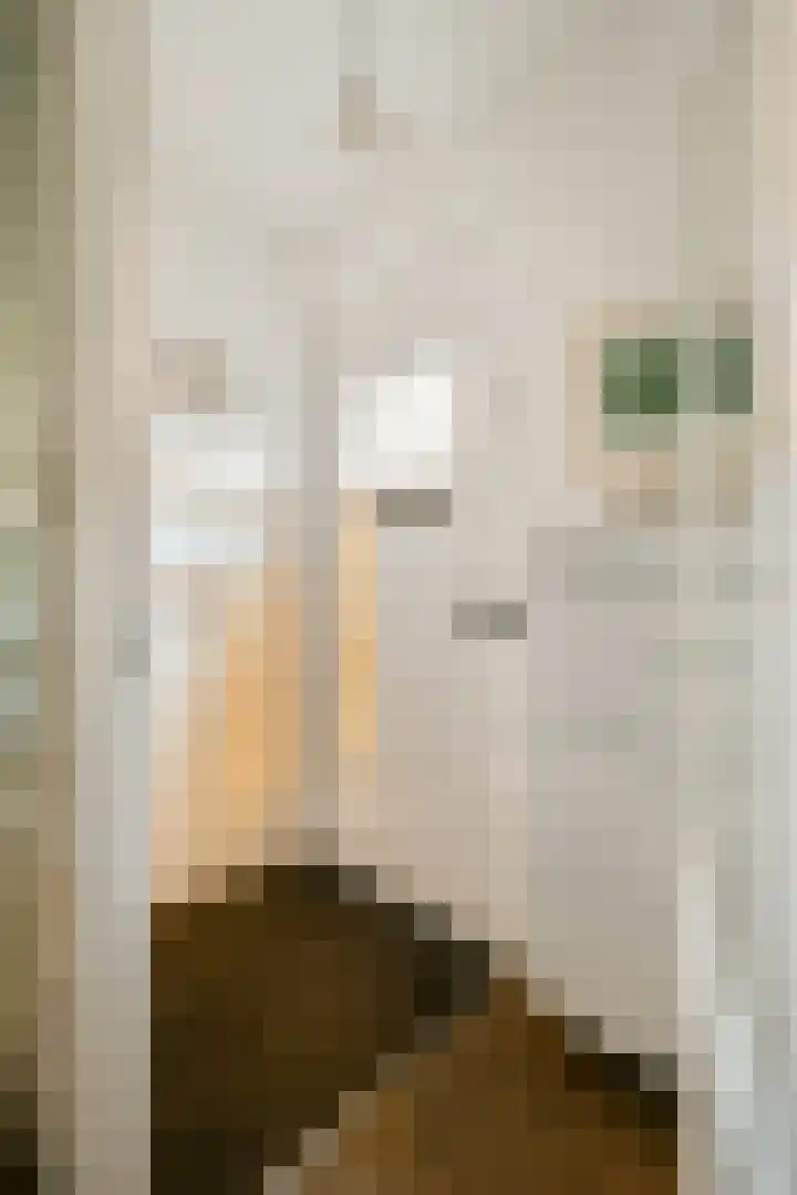 Joos de Moorstraat 7 H Amsterdam thumbnail 7