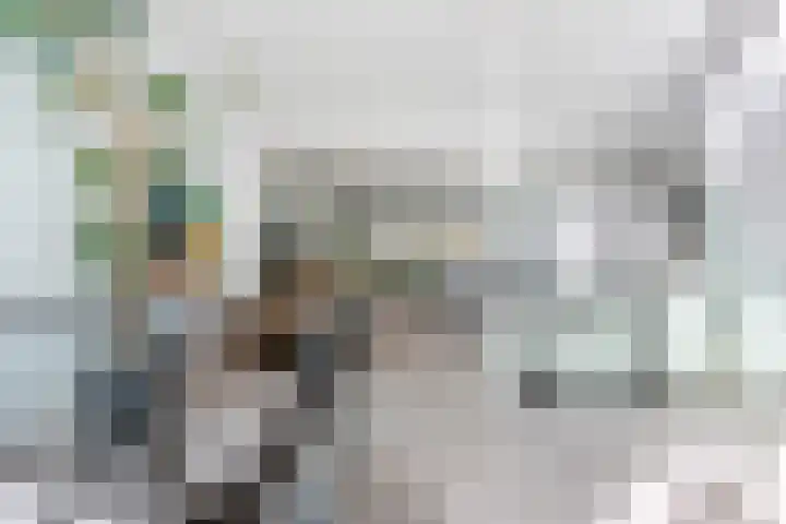 Joos van Clevelaan 3 Bilthoven thumbnail 20