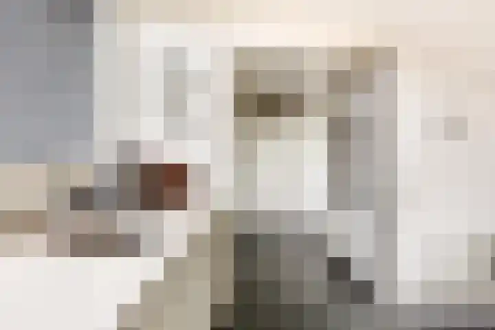 Joos van Clevelaan 3 Bilthoven thumbnail 29