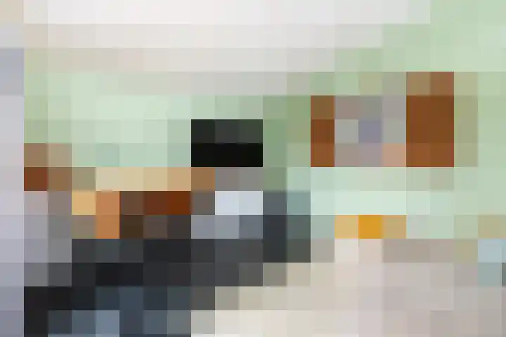 Joos van Clevelaan 3 Bilthoven thumbnail 33