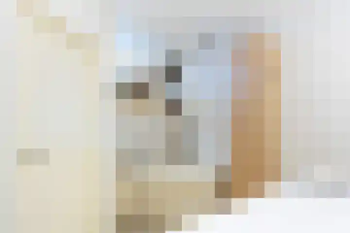 Joos van Clevelaan 3 Bilthoven thumbnail 48