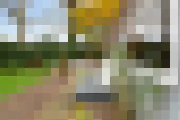 Joos van Clevelaan 3 Bilthoven thumbnail 55
