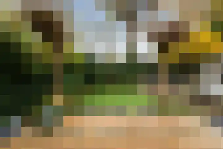 Joos van Clevelaan 3 Bilthoven thumbnail 56