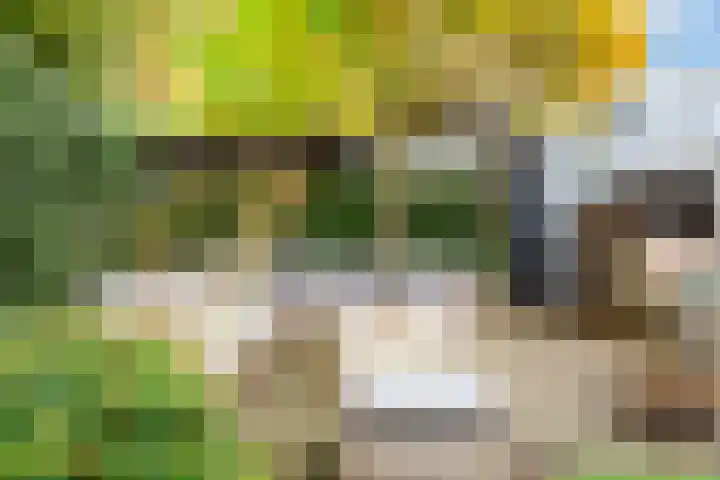 Joos van Clevelaan 3 Bilthoven thumbnail 58