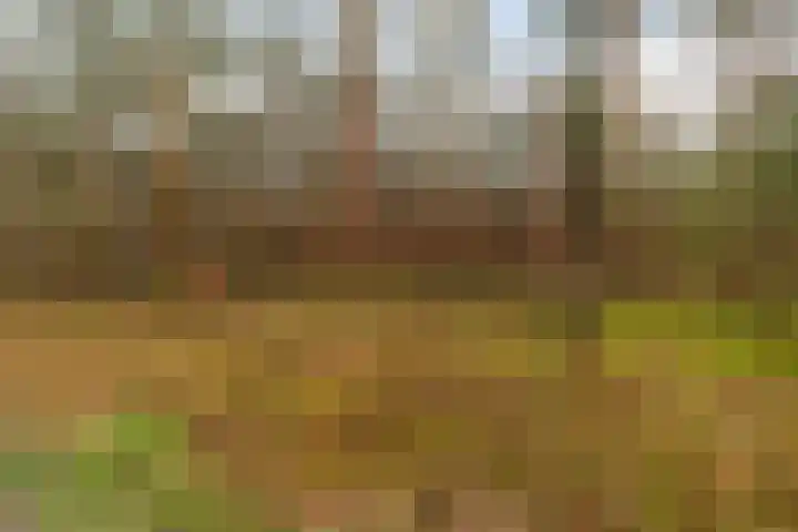 Joos van Clevelaan 3 Bilthoven thumbnail 59