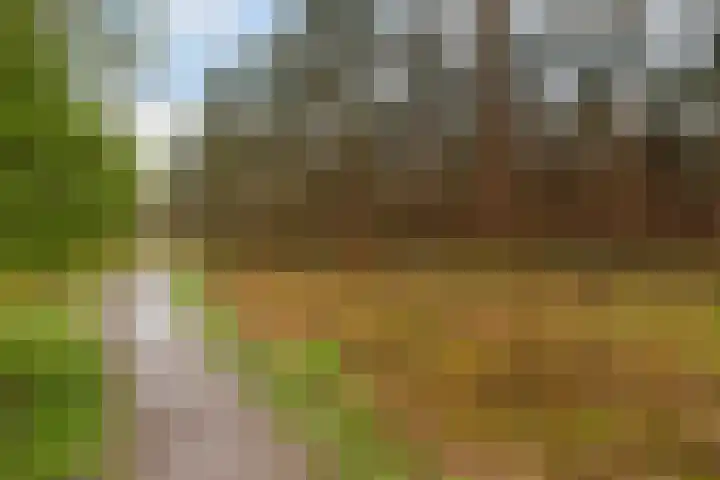 Joos van Clevelaan 3 Bilthoven thumbnail 60