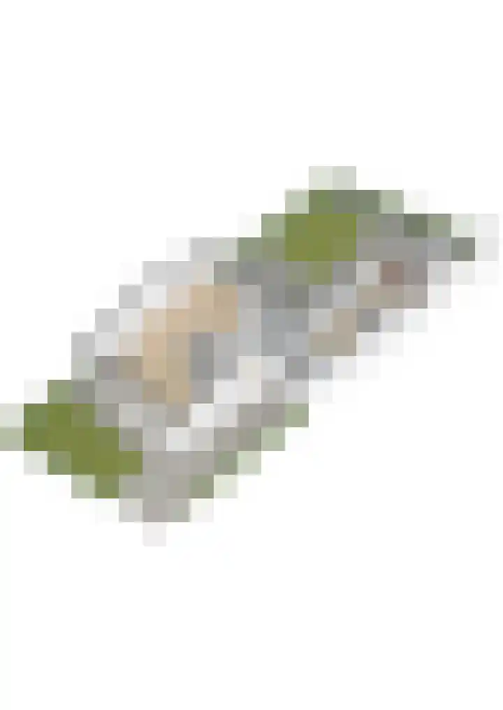 Joos van Clevelaan 3 Bilthoven thumbnail 66