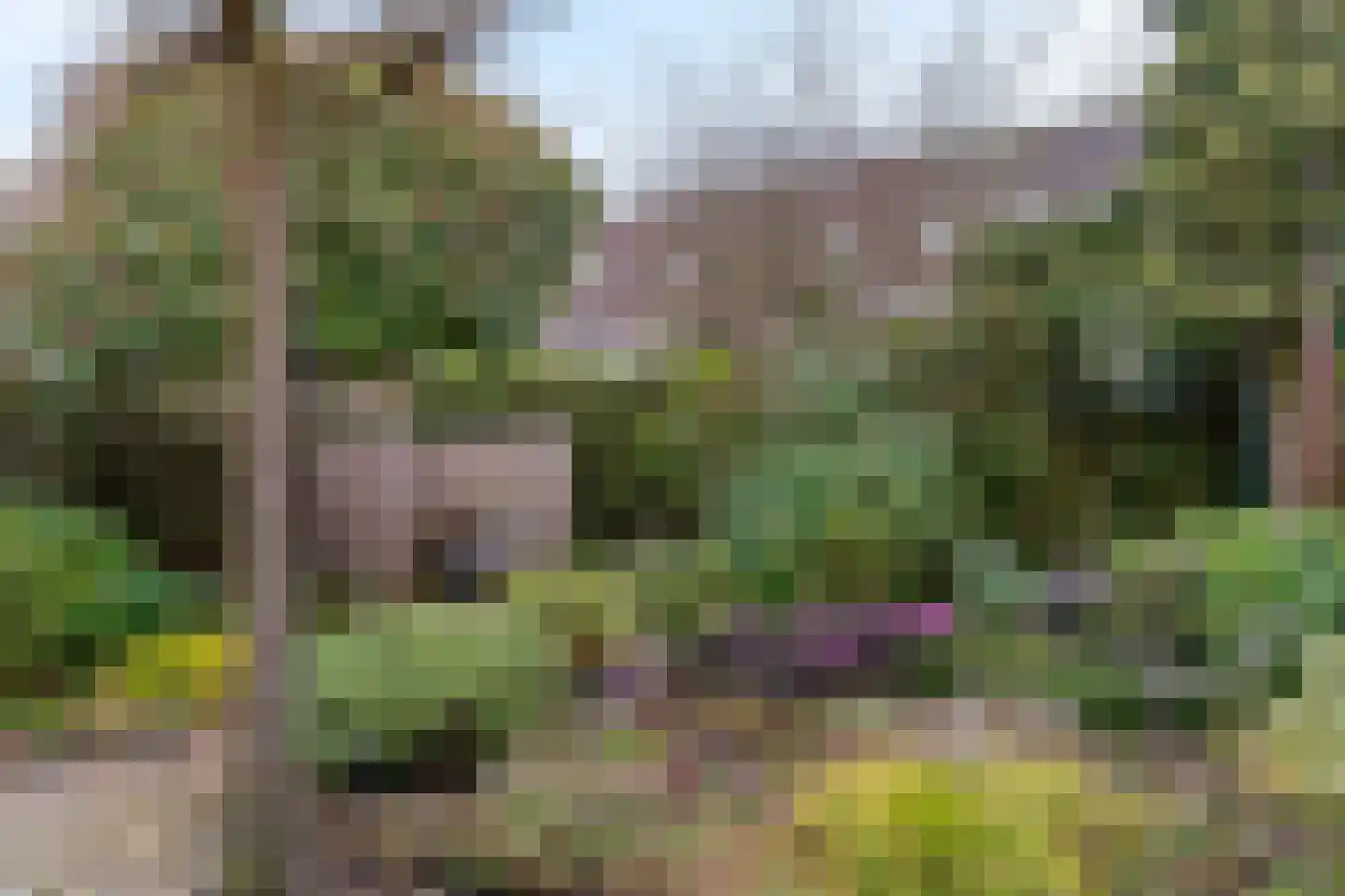 Joos van Clevelaan 4 Bilthoven thumbnail 12