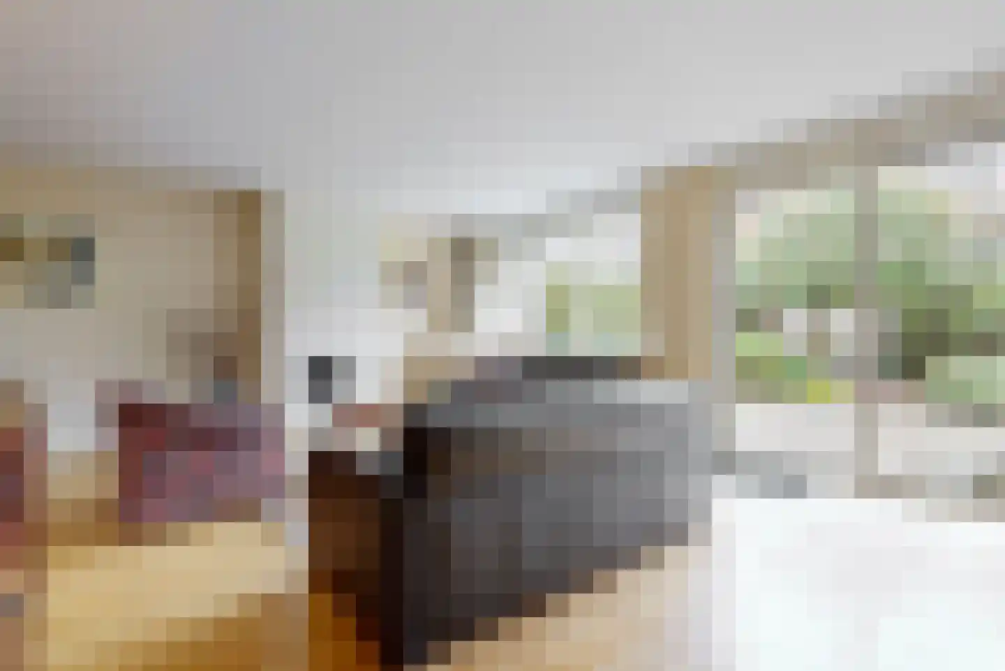 Joos van Clevelaan 4 Bilthoven thumbnail 7