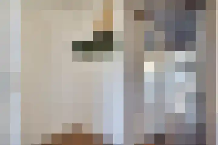 Joossesweg 155 Westkapelle thumbnail 10