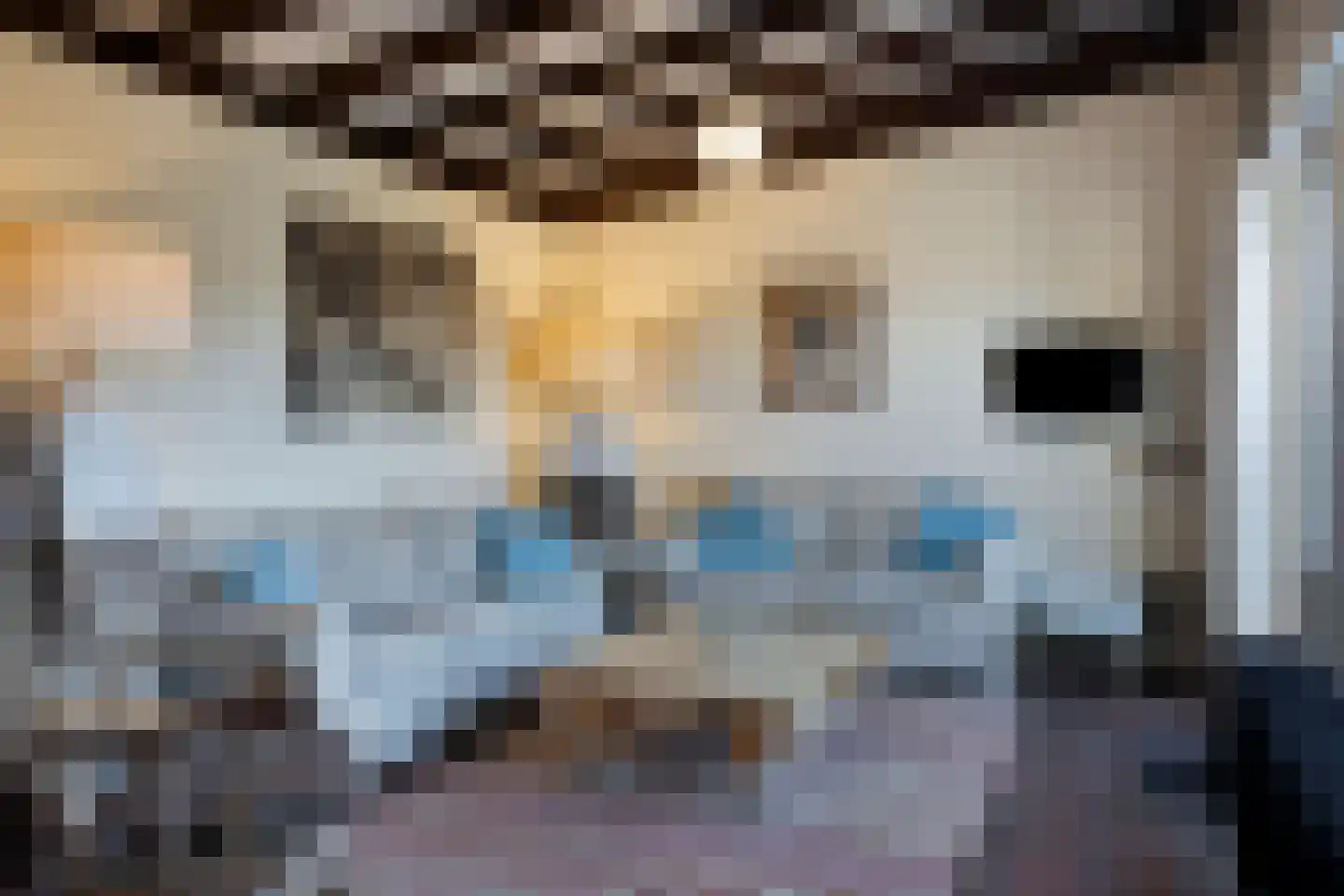 Joossesweg 155 Westkapelle thumbnail 16