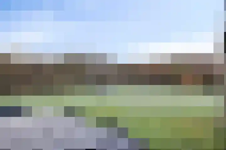 Joossesweg 155 Westkapelle thumbnail 17