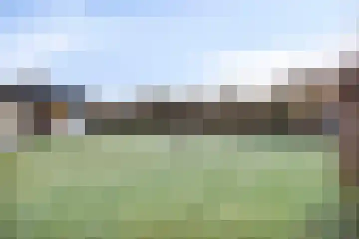 Joossesweg 155 Westkapelle thumbnail 20