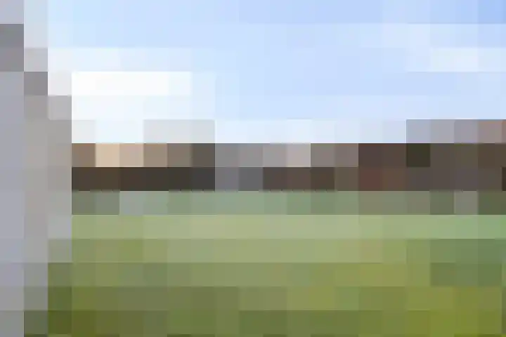 Joossesweg 155 Westkapelle thumbnail 21