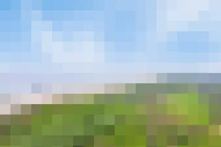 Joossesweg 155 Westkapelle thumbnail 31