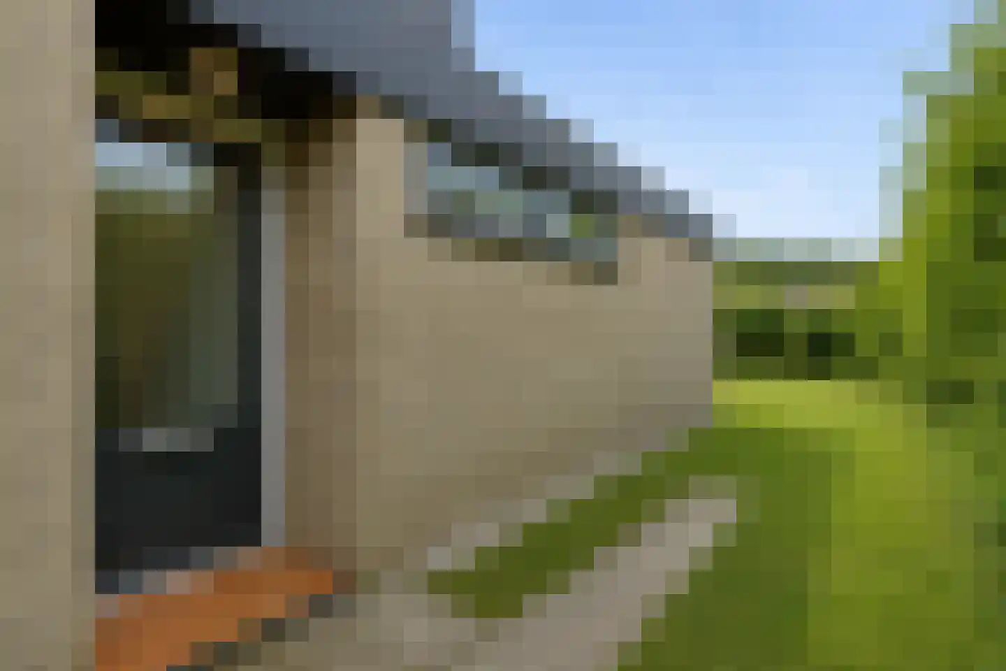 Joossesweg 155 Westkapelle thumbnail 9