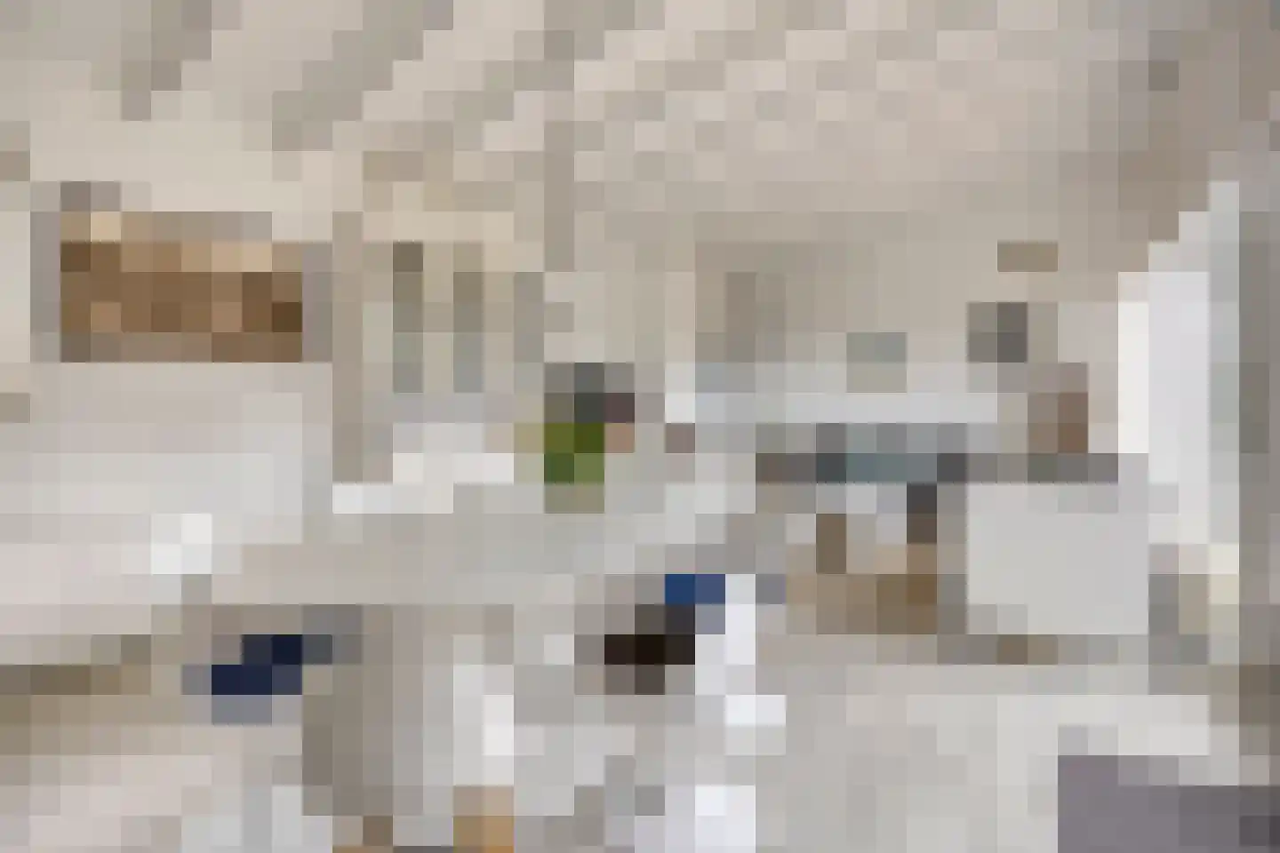 Joossesweg 181 Westkapelle thumbnail 12